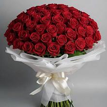 Букет 101 Красная роза Блэк Мэджик в Раменье