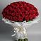 Букет 101 Красная роза Блэк Мэджик в Раменье