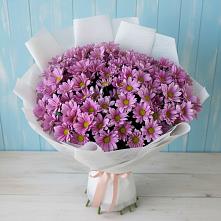 Букет цветов из:  Хризантемы #REPLACE_PRED# Раменье