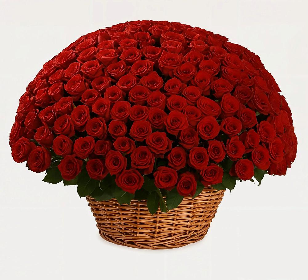 Премиум букет из: Розы в Раменье