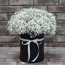 Цветочная композиция из Гипсофила в шляпной коробке в Раменье