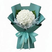 Букет цветов из:  Гортензия #REPLACE_PRED# Раменье